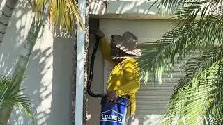 Removing a beehive from South chattahoochee wall