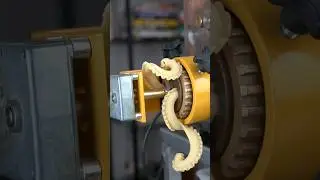 5 Foot Long Noodle