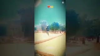 ## shot video # cricket 🤬🤬🤬😡# song level ka nahi hi #cricket