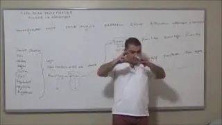 TARİH -06 Türk İslam Devletlerinde Kültür ve Medeniyet 1- CAVİT ARDIÇ