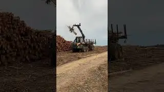 Cosecha Forestal Uruguay, Forwarder Elephan King #cosecha #cosechaforestal #ponsse #uruguay