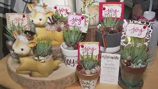 Curio Carvan at Vista Brewing's Saturday Market Days | FOX 7 Austin
