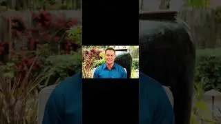 Darren Daily - Lessons from the Olive Tree