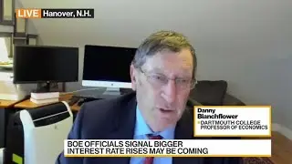Blanchflower on UK Economy, BOE Policy, Political&nbsp;Chaos