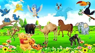 cute farms animal sound - elephant, tiger, lion, duck, cow, hen, buffalo, hippo, #animalsounds