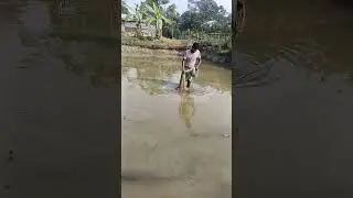 Fishing #fishing #fish#song