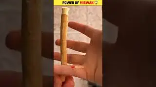 Benefits Of Miswak #shorts #miswak #science#benefitsofmiswak #islam #hadith #sunnah #muham..Benefits