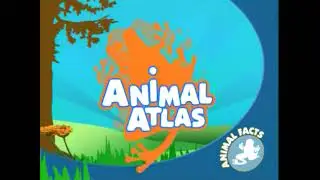 Animal Atlas season 1 Episode 2 Animal Babies