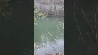 Tug Fork River boundary separating West  Virginia and Kentucky.
