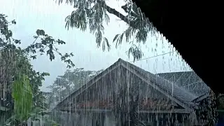 Shingle Rain Hypnosis for Deep Sleep | Heavy Storm Rain on Rustic Farmhouse Roof