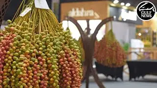 19th Liwa Date Festival begins in Abu Dhabi