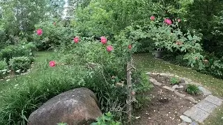 Future Flowers and Present 08/06/2024