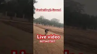 #gardanibagh #groundreport #1600mtrruning