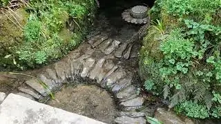 Ninesprings Yeovil Somerset 2022 Spring