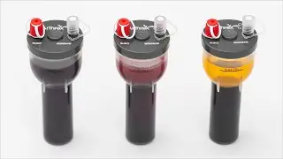 IRAP ProEAS&trade; System Processing