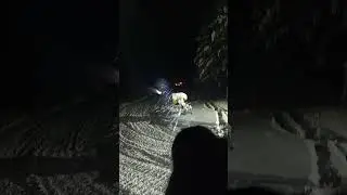 Wurkkos TD01C Test #flashlight 1039m throw