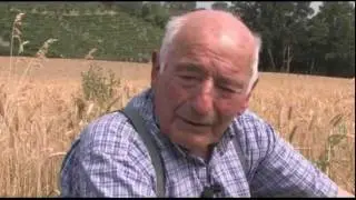CONTADINI