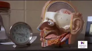 Sleep Technology (Polysomnography)