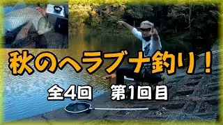 【10月　秋の野池へらぶな釣り  全4回  その①】初めて本格的装備、両グルテンで望む！小物釣り  初心者　淡水　大阪野池　関西野池
