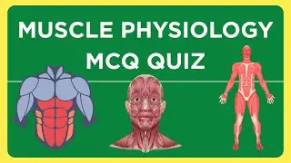 Muscle Physiology MCQ and Quiz | Muscular System QUIZ QUESTIONS  | Multiple Choice Questions |