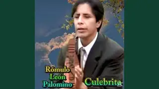 Culebrita