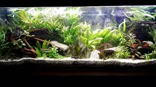 280l bez co2