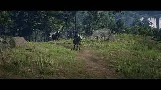 Rare Item Location - NEW PLAYERS - GO HERE! Red Dead Redemption 2 #rdr2 #arthurmorgan #movie #cash
