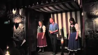 Dunguaire Banquet
