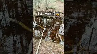 Still water😨😱 (don&rsquo;t mind my miss) #memes #stillwater