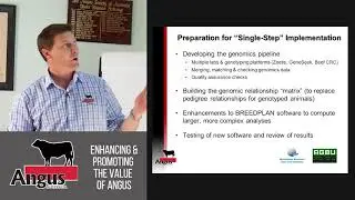 Single Step Genetic Analysis - 2017 Angus Regional Forums