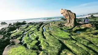 Tết Này Du Khách Tham Quan Du Lịch Có Dịp Tha Hồ Tạo Dáng Bãi Rêu Xanh Mướt Ở Biển Cổ Thạch 