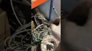 Подметальная машина Karcher KM 70/20 - капитальный ремонт