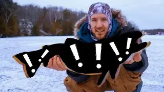 Monster Splake, пойманный на льду. Советы по подледной рыбалке: PB Splake & Pike