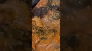 Snail stew