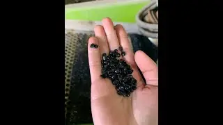Recycled LDPE Granules (Black) production process