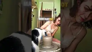Cat&rsquo;s Hidden Talent😲🐱 | #shorts