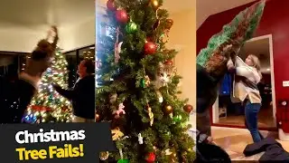 The Best Christmas Tree Fails!