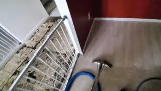 Long Relaxing Satisfying ASMR Carpet Cleaning Video With Extreme Difference