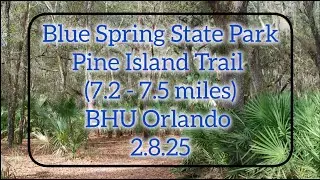 Blue Spring State Park: Pine Island Trail 🥾🐊
