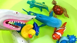 Learning Names of Sea Animals with Finding Dory Nemo Wind Up Toys & Shark Fun