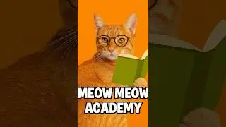 That 1 teacher at 1:59 😾📖 #TeacherLogic#RelatableCats#MeowMeowAcademy#CatMemes#SchoolStruggles