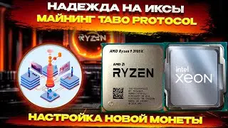 🔥 НАДЕЖДА НА ИКСЫ. Майнинг Tabo protocol. Создание кошелька, настройка на Hive OS и Windows