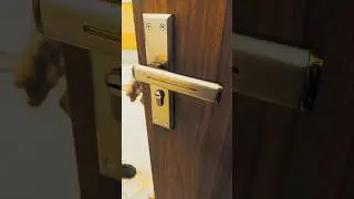 door handle fitting | #shutter #locks #gate #lock #windo