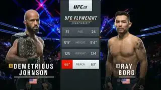 Demetrious Johnson vs Ray Borg