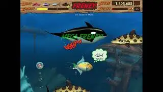 Feeding Frenzy 2 Room to Move