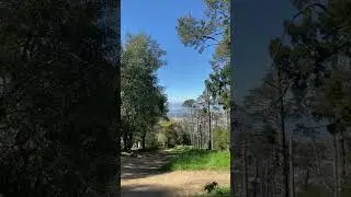 Running the Berkeley Mountains in San Francisco, California. #BayArea