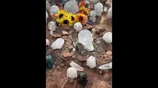 Sunflower Ceremony, Third Harvest- Sherry Whitfield & ancient crystal skull Synergy. 11.17.23 PART 3