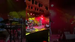 Mac DeMarco Live In Dublin 17/11/25