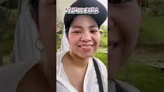 LYCHEE FARM IN JIU KAI KENG XIANGSHAN HSINCHU CITY TAIWAN