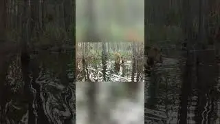 Inspiring Stories of Conservation